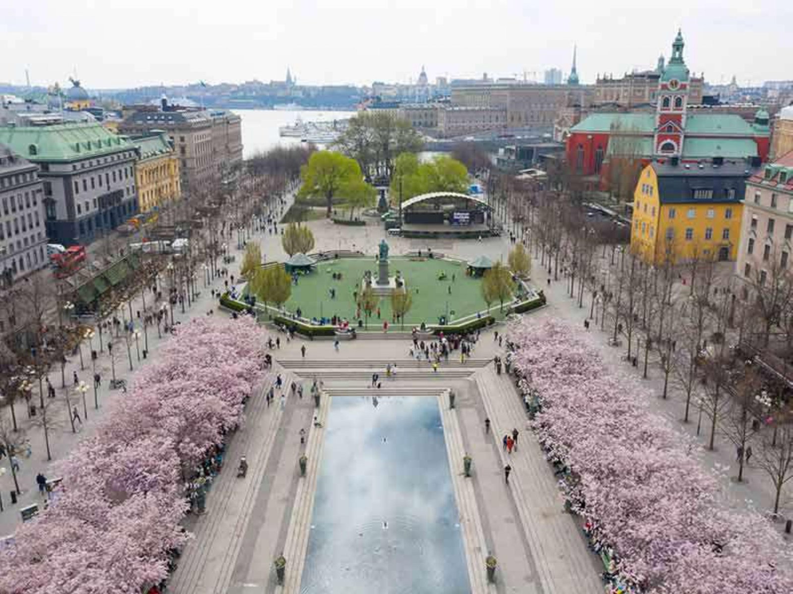 Settle in Germany